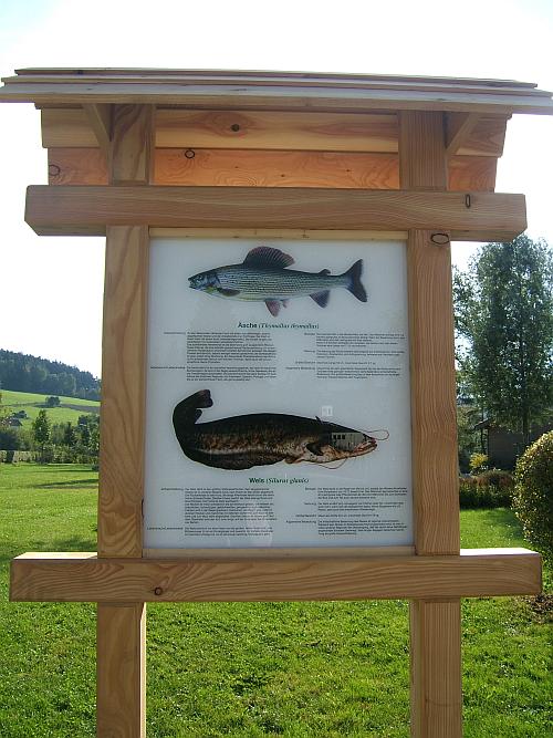 Fischlehrpfad Tafel 3.jpg
