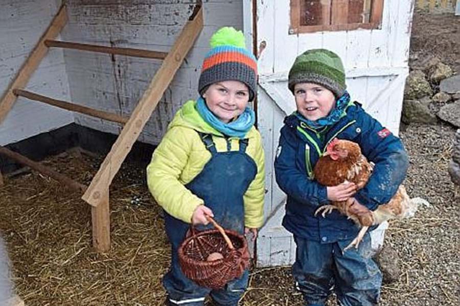 Die Hennen waren heute schon fleißig und diese zwei Jungs durften die Eier aus dem Stroh holen