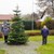 Erstmals ein mächtiger Christbaum für Chamerau Erstmals ein mächtiger Christbaum für Chamerau