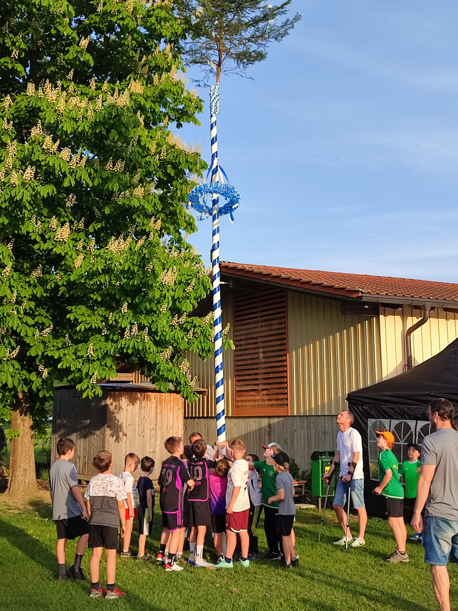 Der Chamerauer Maibaum