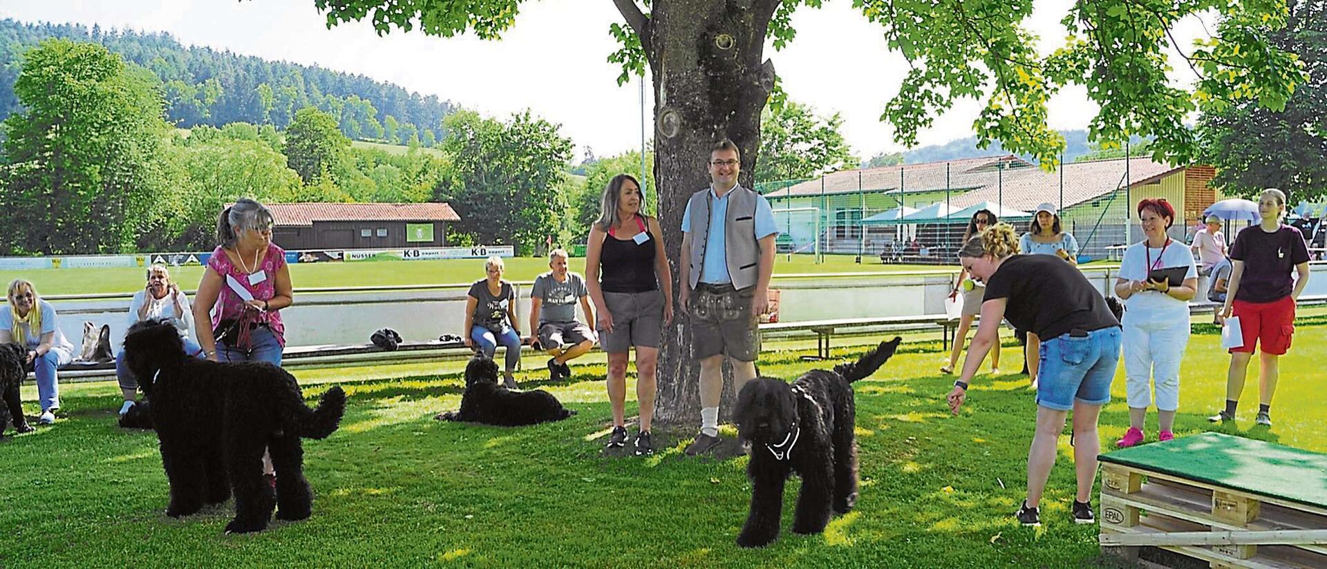 Hundetreffen auf der Regeninsel