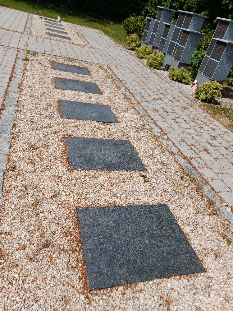 Leider haben wir keinen Alternativtext zu diesem Bild, aber wir arbeiten daran.